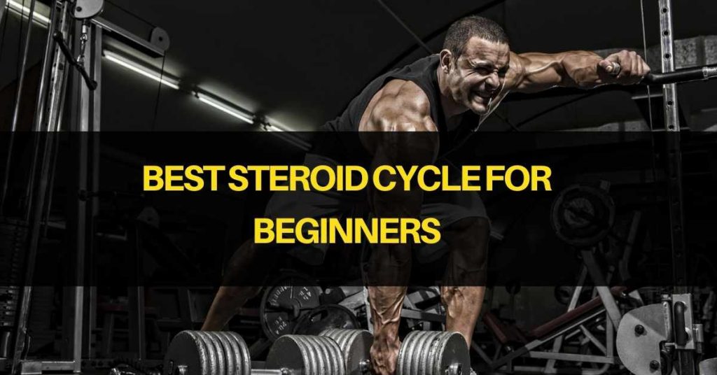 Best Steroid Cycle for Beginners