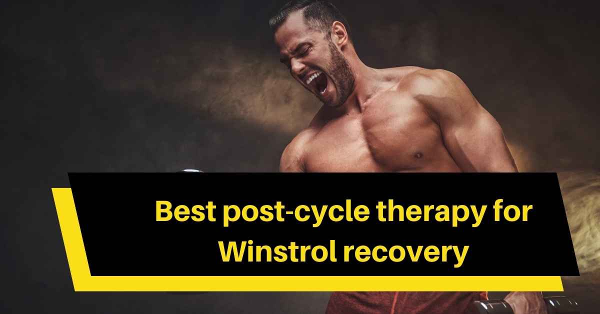 Best post-cycle therapy for Winstrol recovery