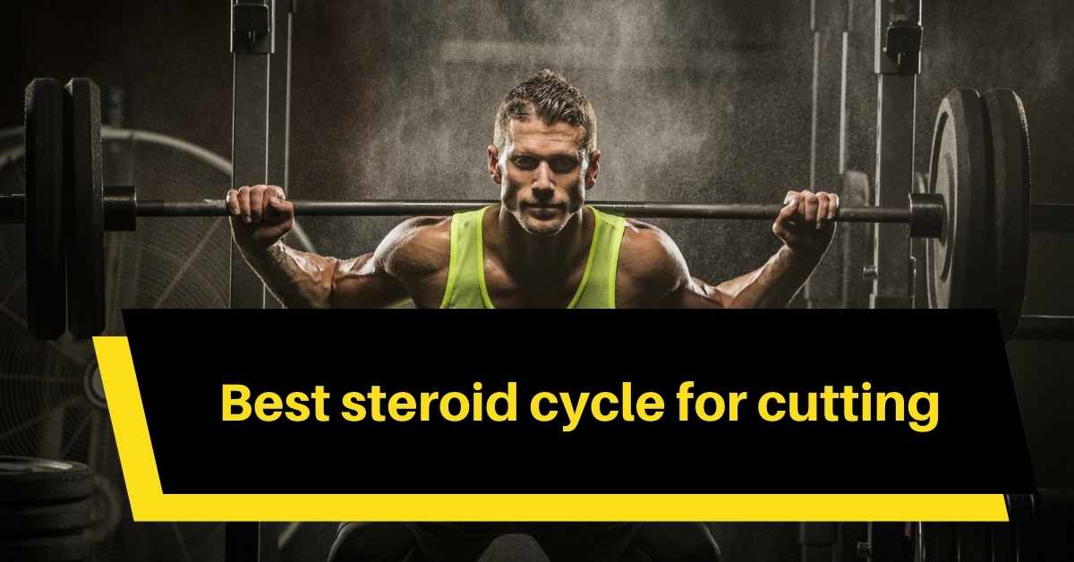 Best steroid cycle for cutting