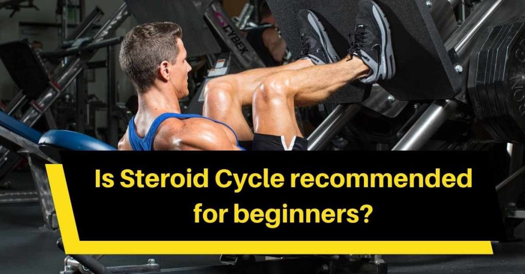 Is Steroid Cycle recommended for beginners