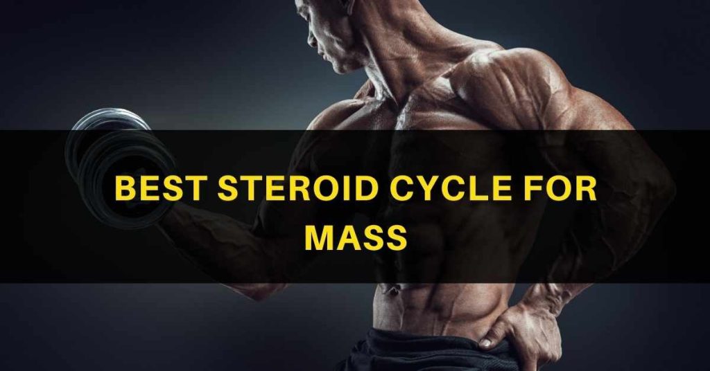 Best Steroid Cycle for Mass
