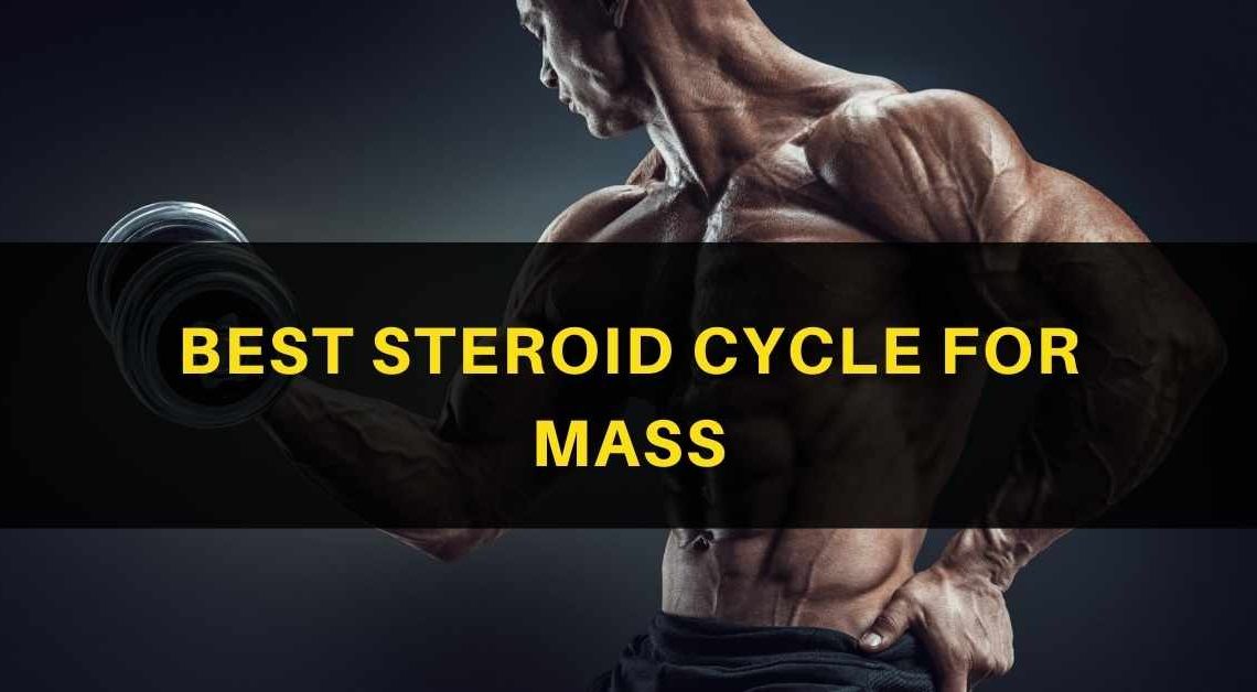 Steroid Cycle for Mass