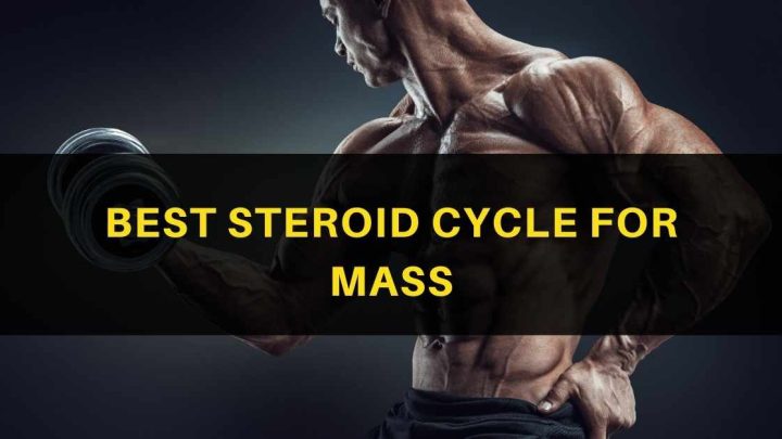 Steroid Cycle for Mass