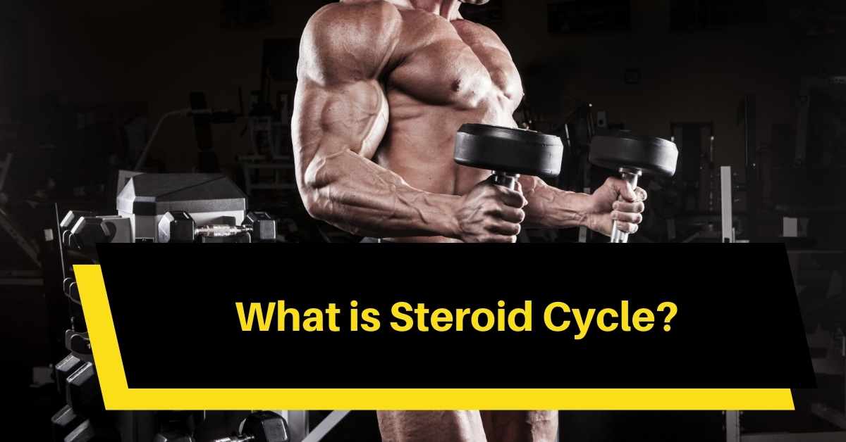 What is Steroid Cycle