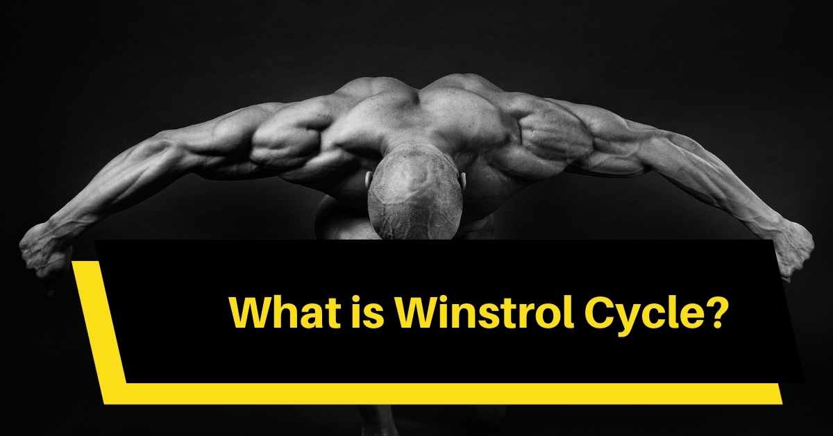 What is Winstrol Cycle