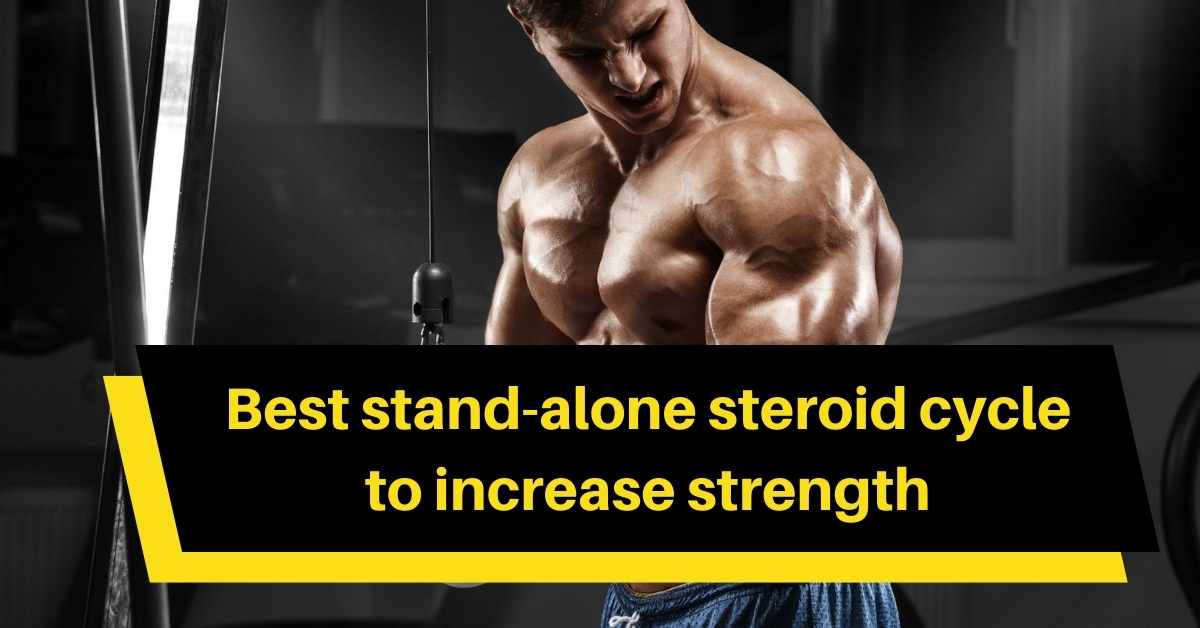 steroid cycle to increase strength