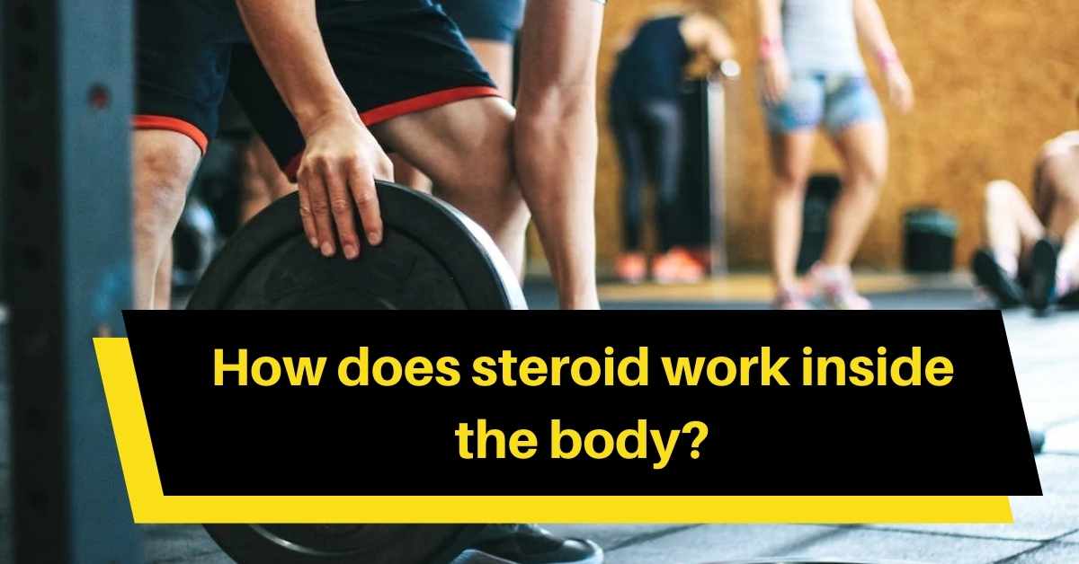 steroid work